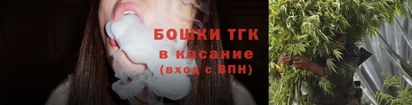 прущие крисы Няндома