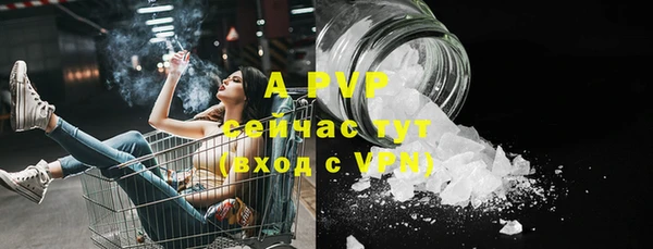 амф Осинники