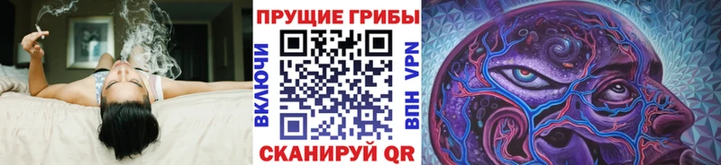 Псилоцибиновые грибы MAGIC MUSHROOMS  omg tor  Спас-Клепики 